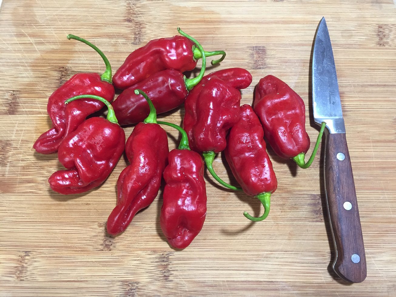 Managing the Heat of Hot Peppers - Carthage News Online