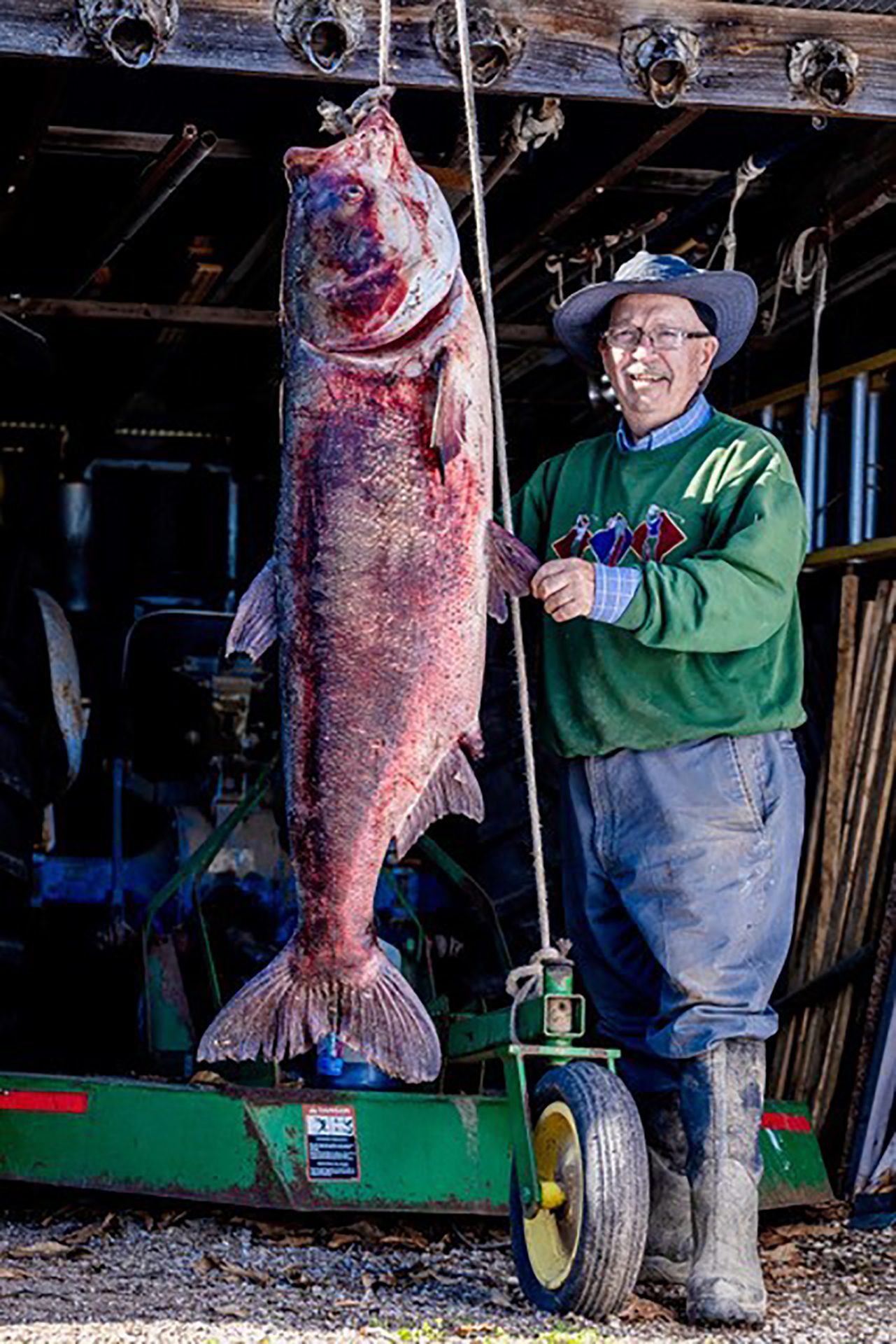 Missouri angler catches world record-sized bighead carp - Carthage News  Online
