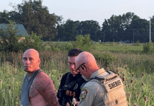 Attempted home invasion leads to manhunt, arrest in Carthage field
